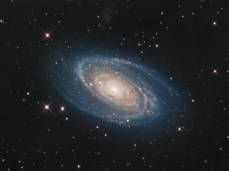  M81